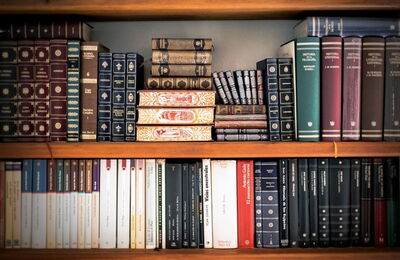 Bücherregal mit Bücher